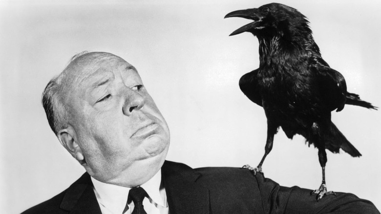 Alfred Hitchcock looks at a crow