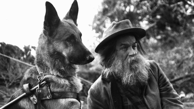 Jerry and Riley in "The Pack" (1977)