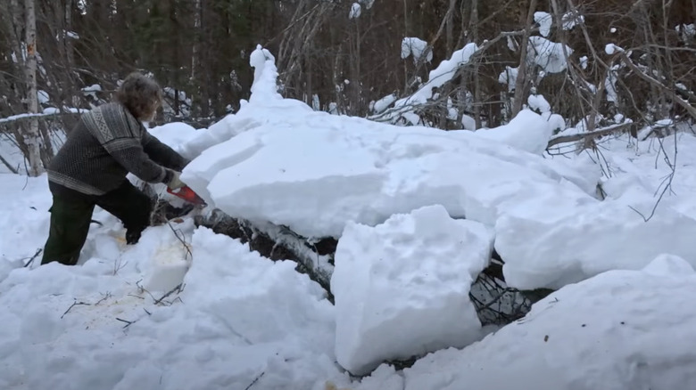 Marty chainsawing a log