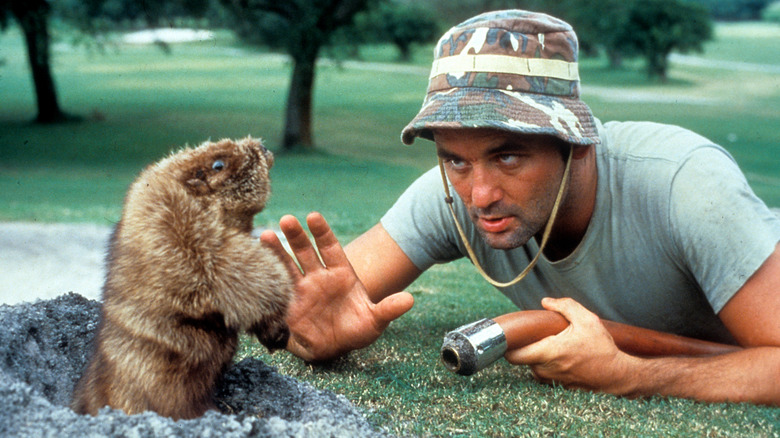 Groundskeeper Carl glaring at gopher