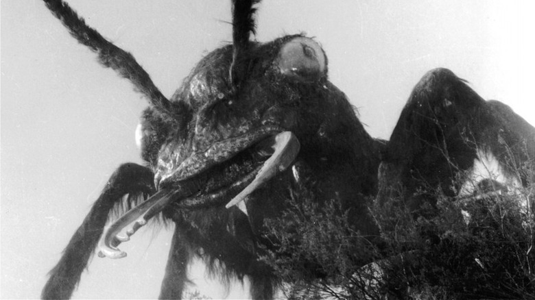 Giant Ant looking scary in Them! (1954)