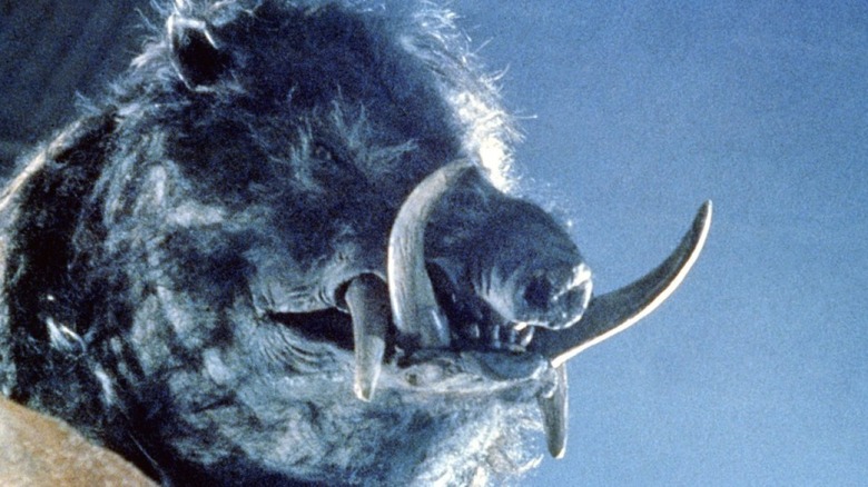 Boar snarling in Razorback