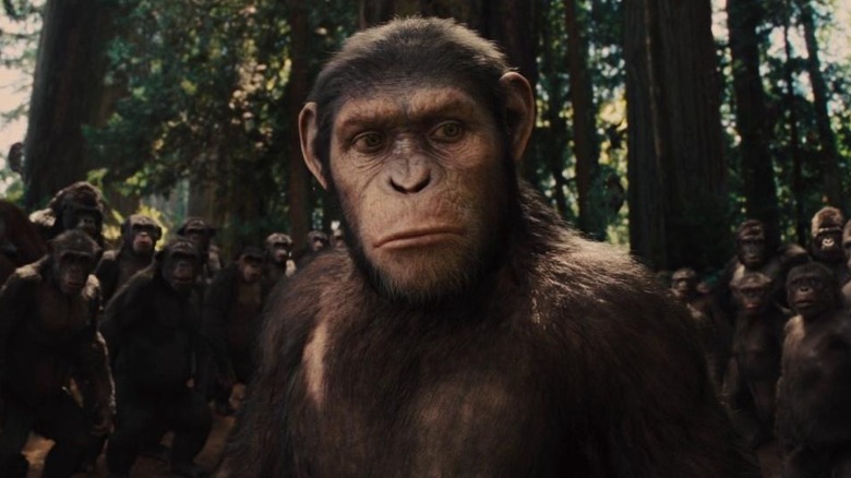 Caesar leads apes in Rise of the Planet of the Apes