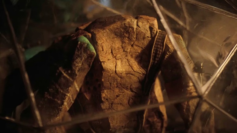 Rocky all ready for an adventure in Project Hail Mary (2026)