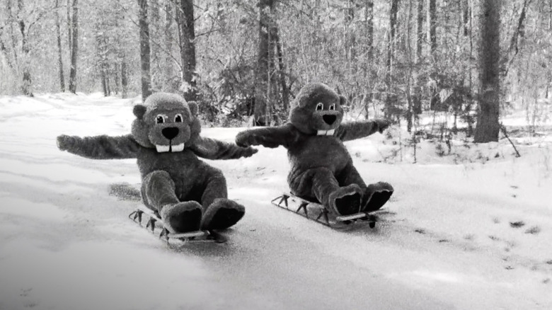 Beavers engaging in a chase on sleds in "Hundreds of Beavers"