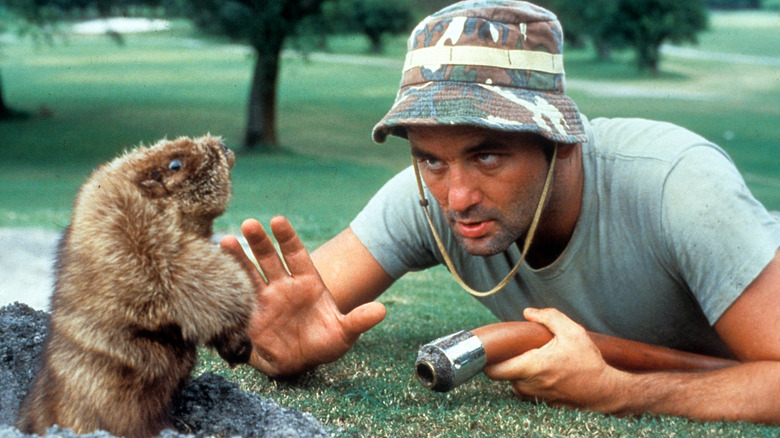 Carl talking to a gopher in "Caddyshack" (1980)