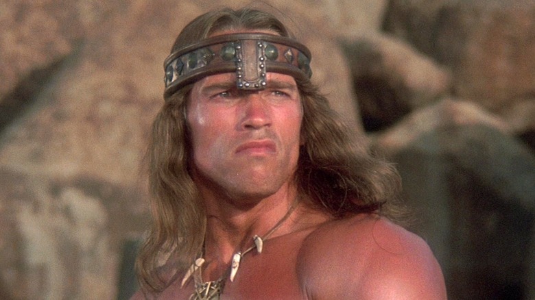 Conan staring into the distance in "Conan the Destroyer"