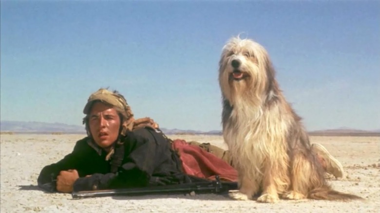 Vic and Blood observing something in the desert in "A Boy and His Dog"