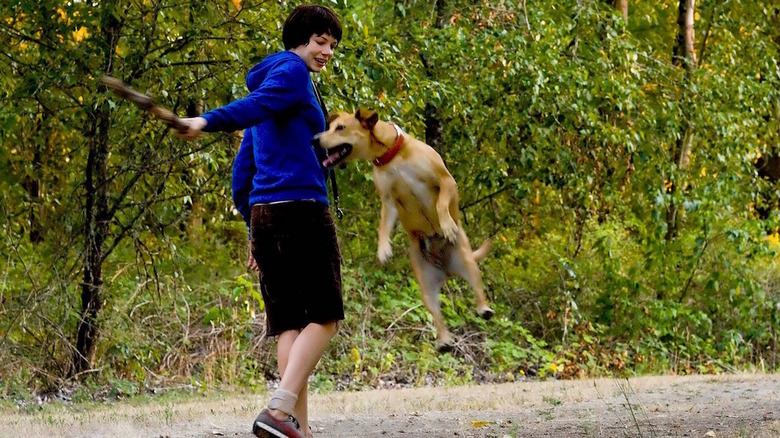 Wendy playing fetch with Lucy in Wendy and Lucy (2008)
