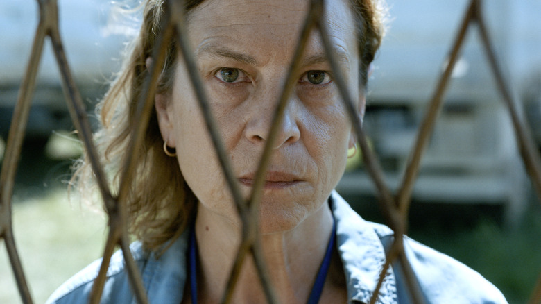Aida looking through fence