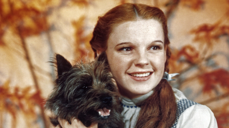 Judy Garland holds Toto in publicity still for "The Wizard of Oz" (1939)