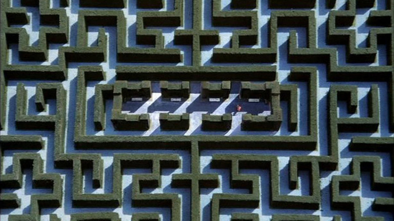 Hedge maze overhead shot