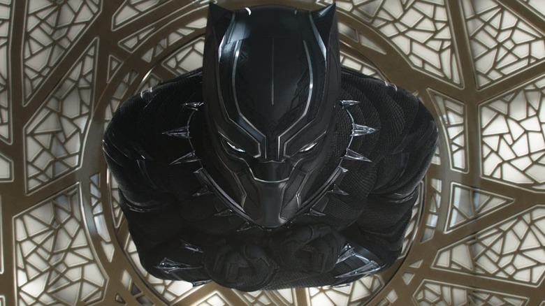 Black Panther in the suit viewed from above
