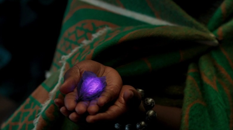A Wakandan holding the Heart-Shaped herb