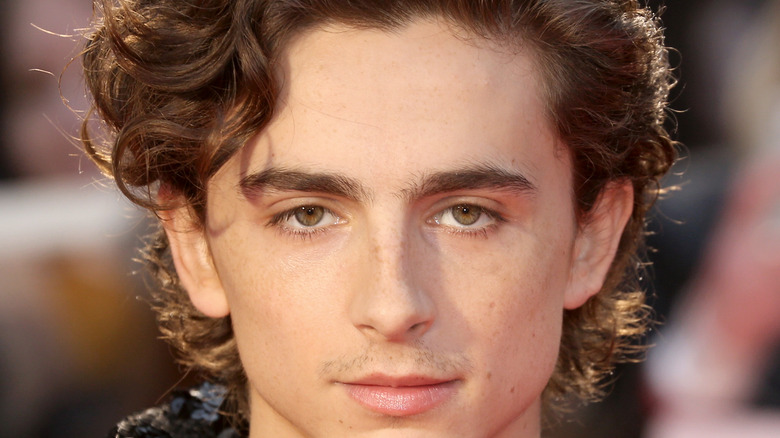 Timothée Chalamet at an event.