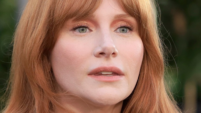 Bryce Dallas Howard with hair down