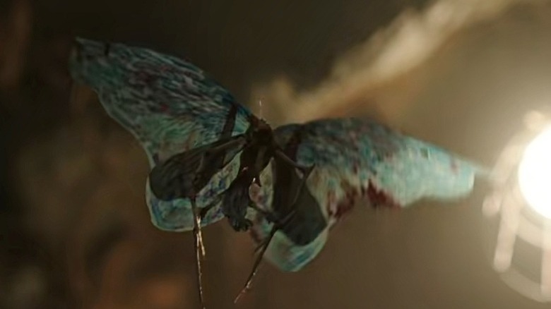 Goff as a butterfly