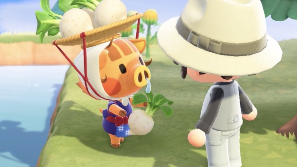 Characters Who Mean More Than You Realized In Animal Crossing: New Horizons