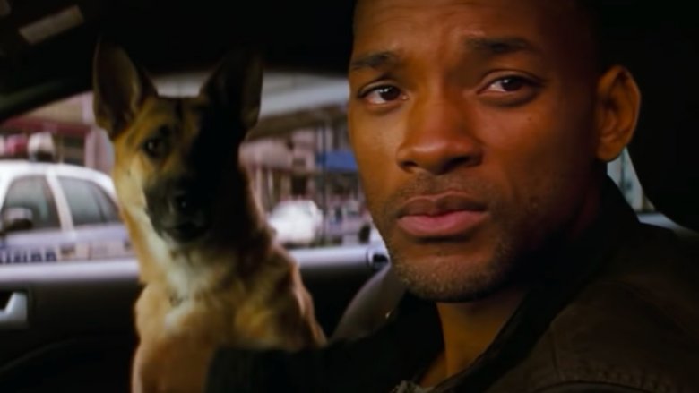Scene from I Am Legend