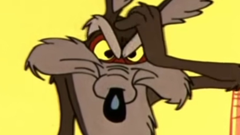 Wile E. Coyote looking angry with a hand on his head