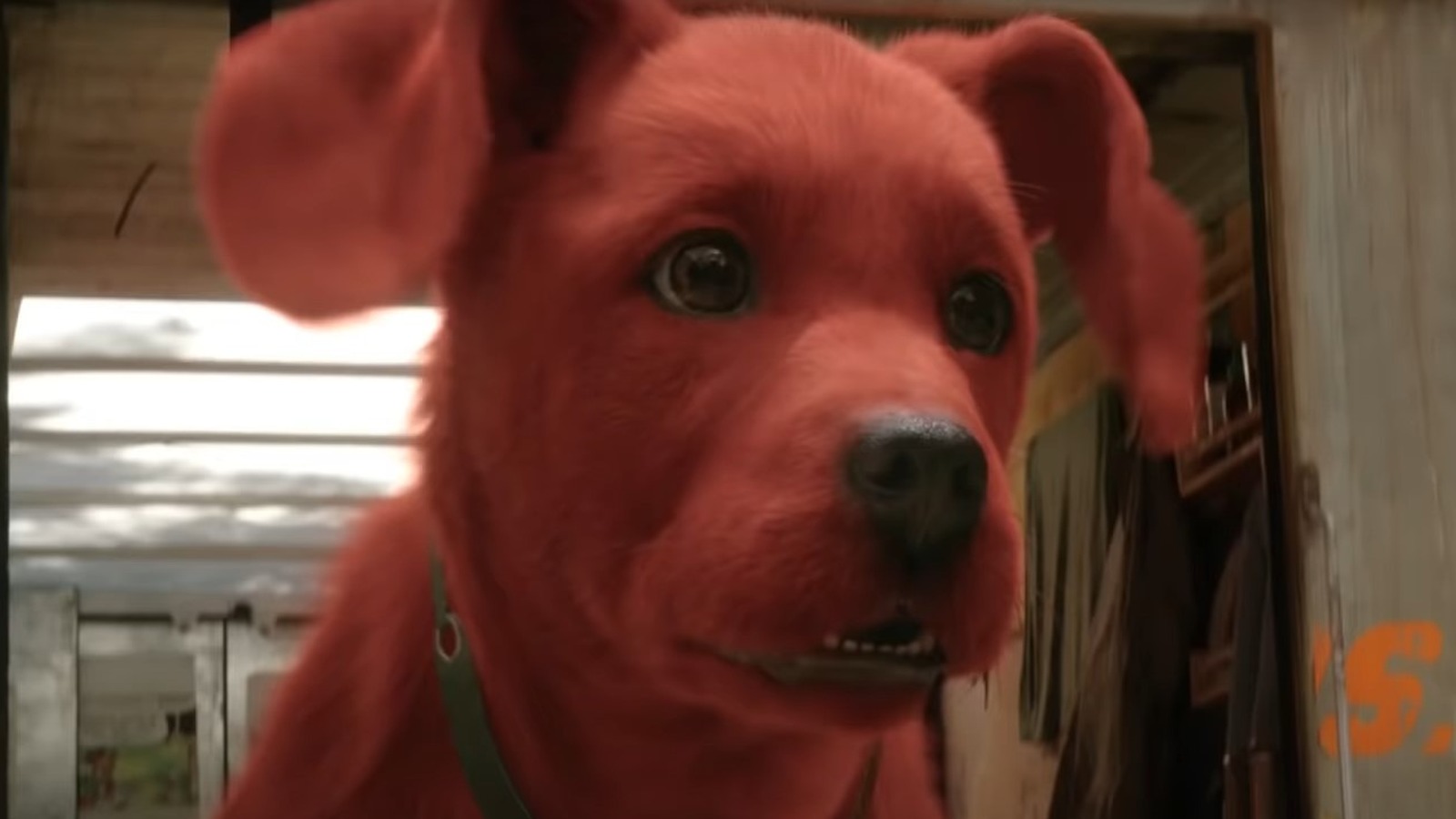 Clifford The Big Red Dog Release Date Cast And Plot - What We Know So Far
