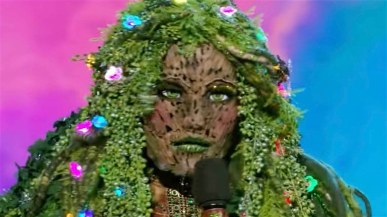 Mother Nature on The Masked Singer