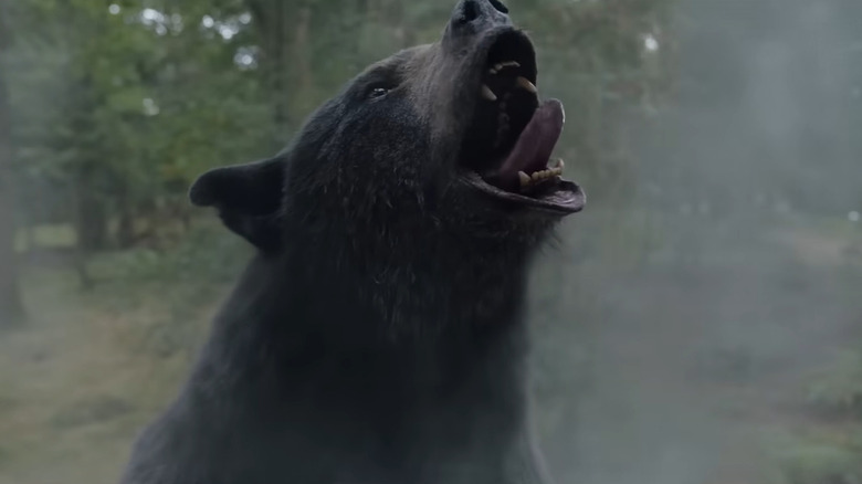 Cocaine Bear snarling