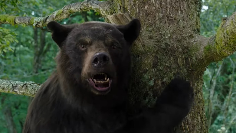 Cocaine bear angry