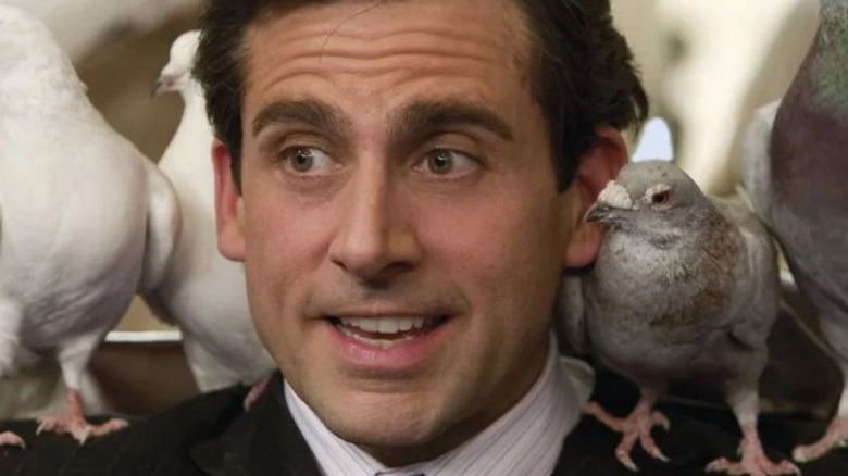 Steve Carell and feathered friends