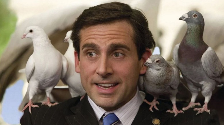 Steve Carell and feathered friends