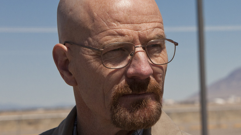 Walter White stares