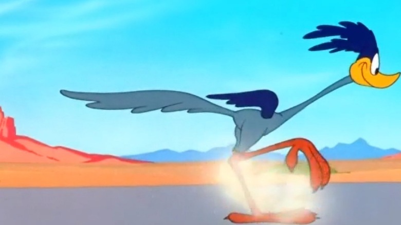 Road Runner running