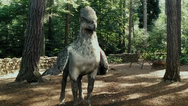 4. Hippogriff The hippogriff was a weird but cute creature that was an odd mix of an eagle and a horse. Despite their scary appearance, they were more loyal as a horse than menacing like an eagle. Buckbeak, the hippogriff, won the viewers' hearts by attacking Draco Malfoy and scaring other Slytherins in the process. Can't forget how majestically it flew in the air.