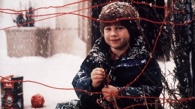 Alex smirks in "Home Alone 3"