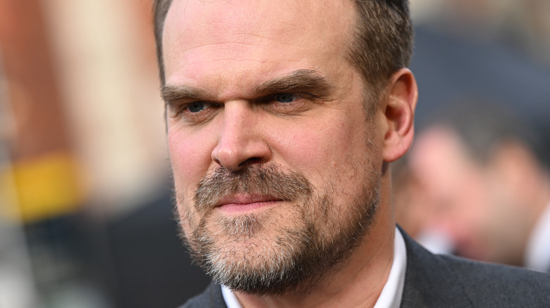 David Harbour smiling