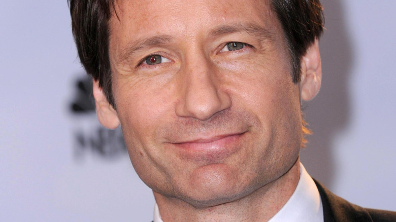 David Duchovny at event