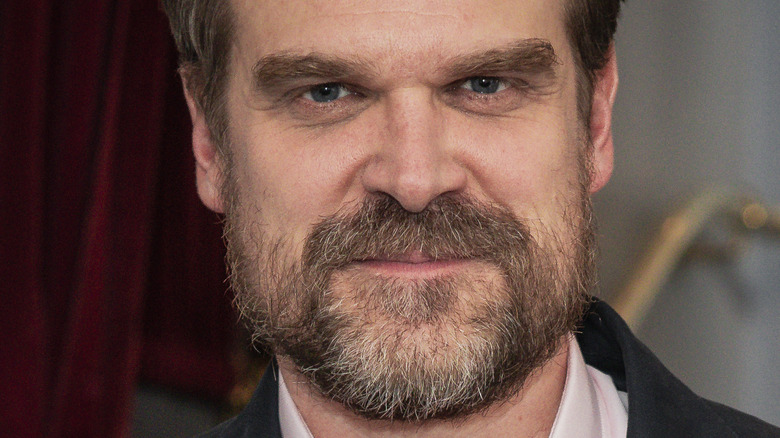 David Harbour with beard