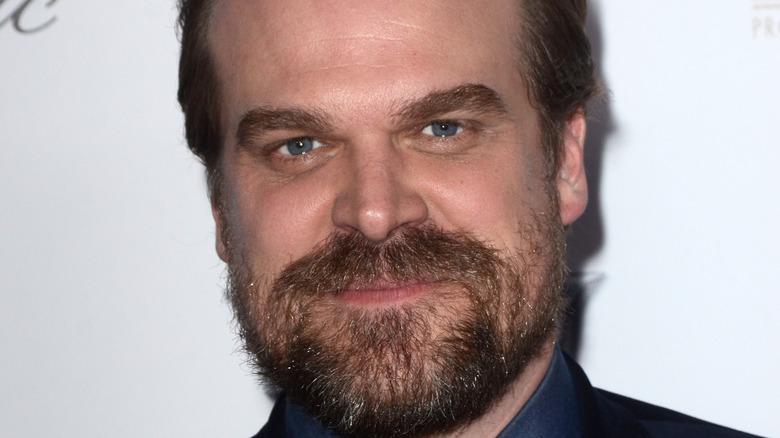 David Harbour smiling red carpet