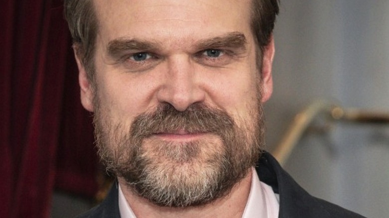 David Harbour smiling