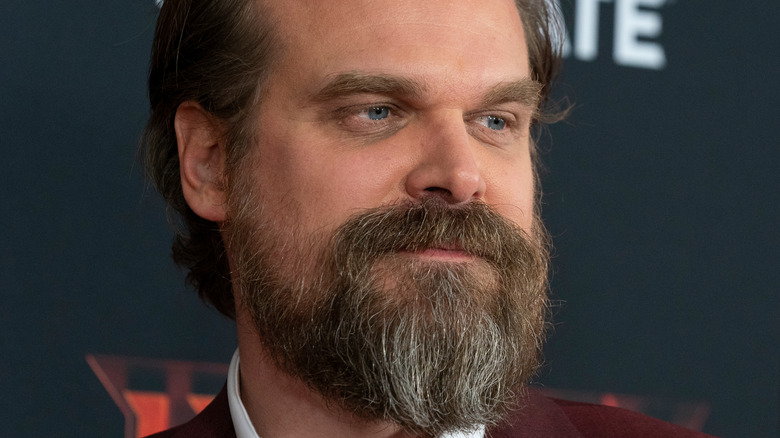 David Harbour smiling