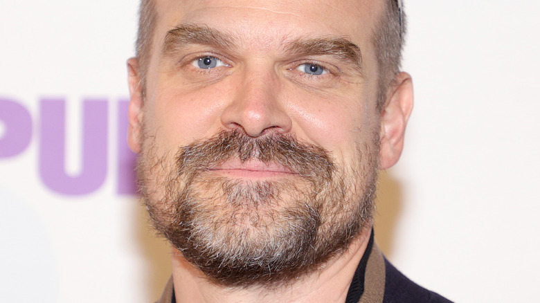 David Harbour smirking 