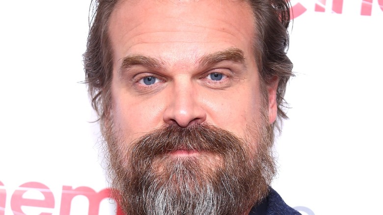 David Harbour with beard