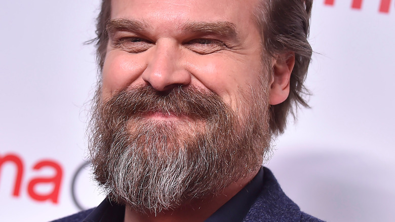 David Harbour beard looking happy