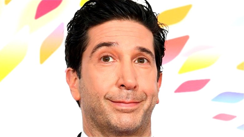 Actor David Schwimmer of Friends