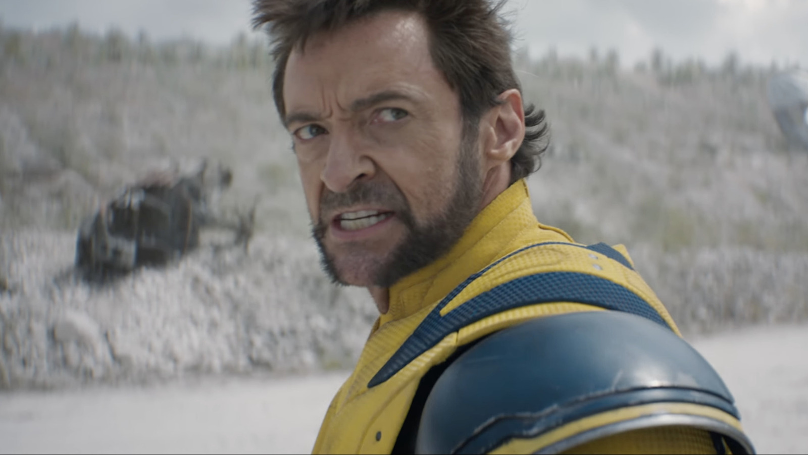 Deadpool & Wolverine's Sabretooth Spoiler Is Dividing Marvel Movie Fans