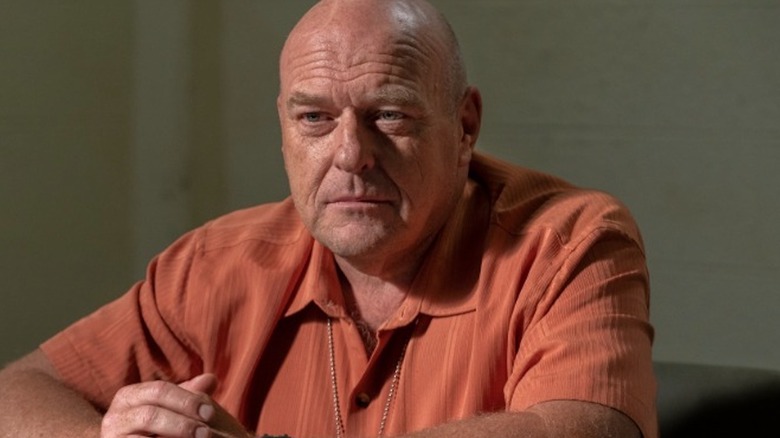 Hank Schrader intense