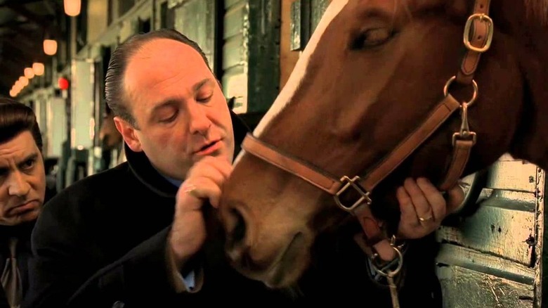 Tony strokes Pie-O-My