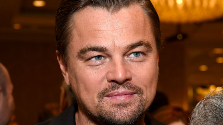 Leonardo DiCaprio smiling 