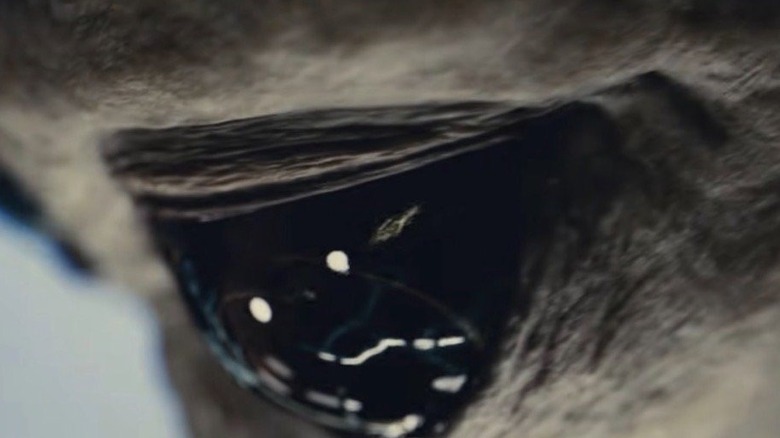 Alien eye looking down in Disclosure Day