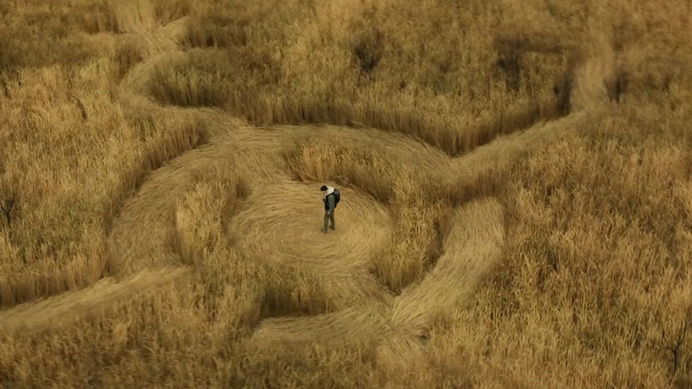 Daniel Kellner in the middle of a crop circle in Disclosure Day